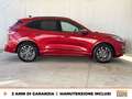 Ford Kuga 1.5 ecoblue st-line x 2wd 120cv Rouge - thumbnail 6