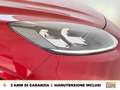 Ford Kuga 1.5 ecoblue st-line x 2wd 120cv Rouge - thumbnail 15
