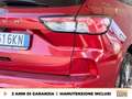 Ford Kuga 1.5 ecoblue st-line x 2wd 120cv Rouge - thumbnail 18