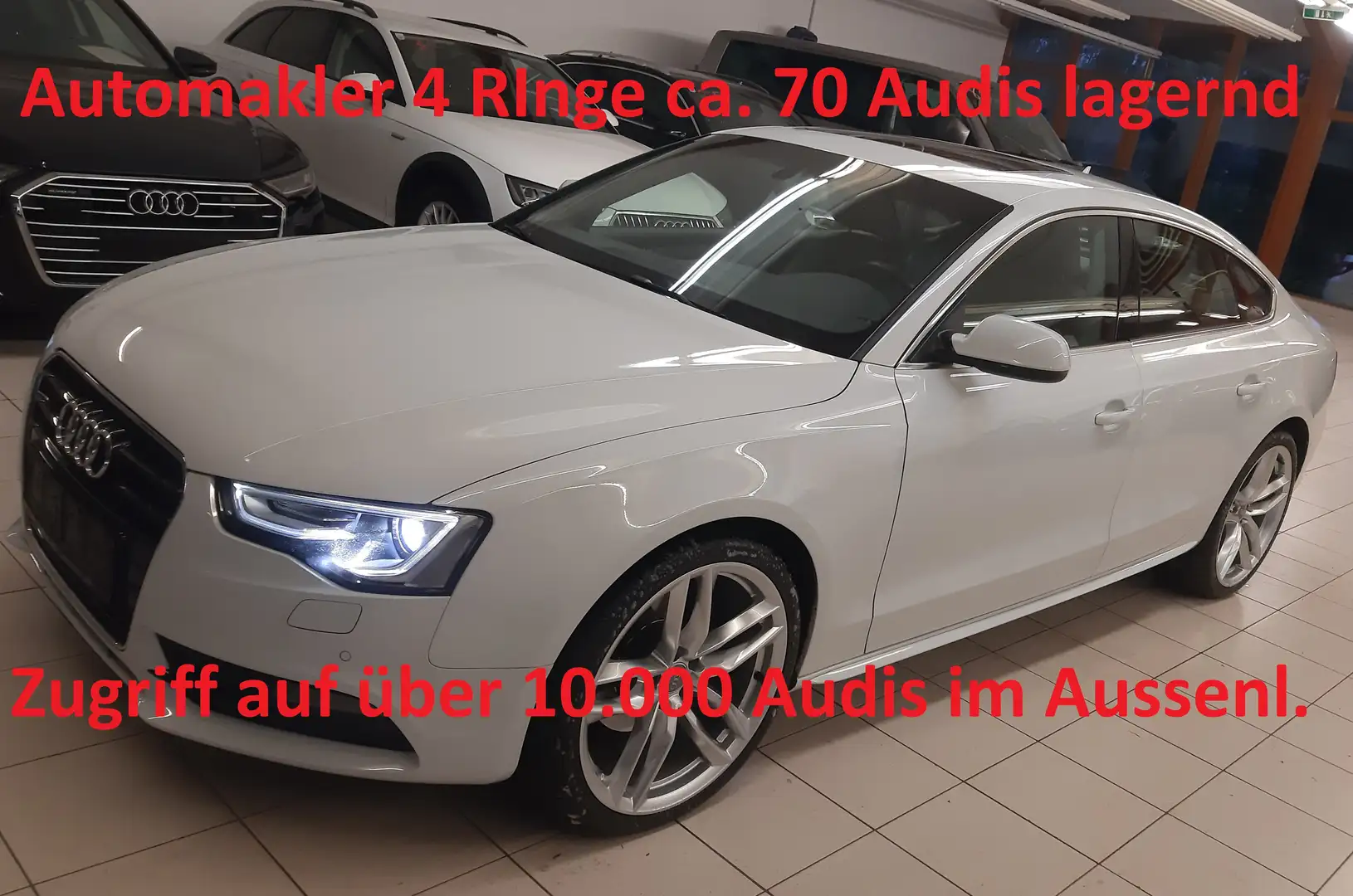 Audi A5 SB 2,0 TDI Intese Leder,Standheizung,Schiebedach Blanc - 1