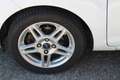 Ford Fiesta ECOBOOST 1.2L 100CV BTE 5VT PACK SPORT/TITANIUM 3  - thumbnail 15