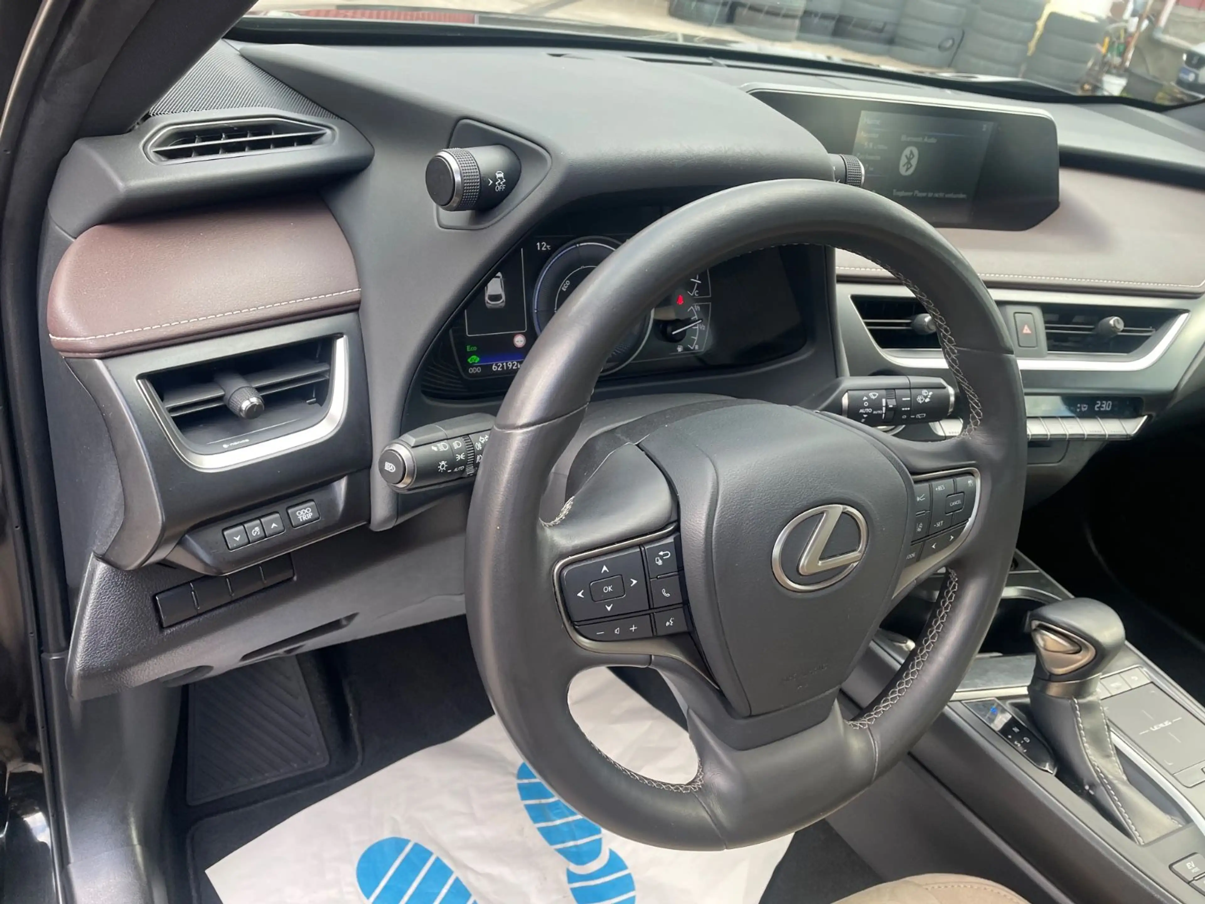 Lexus UX 250h 2,0 Hybrid Automatik/Leder/Klima/Navi/Kam — photo 11