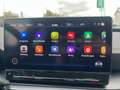 CUPRA Formentor 2.5 TSI 4Drive DSG VZ5 Schwarz - thumbnail 11