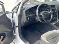 Volkswagen Golf 1.0 TSI Comfortline Business R-Line / NL-Auto / Ve Wit - thumbnail 11