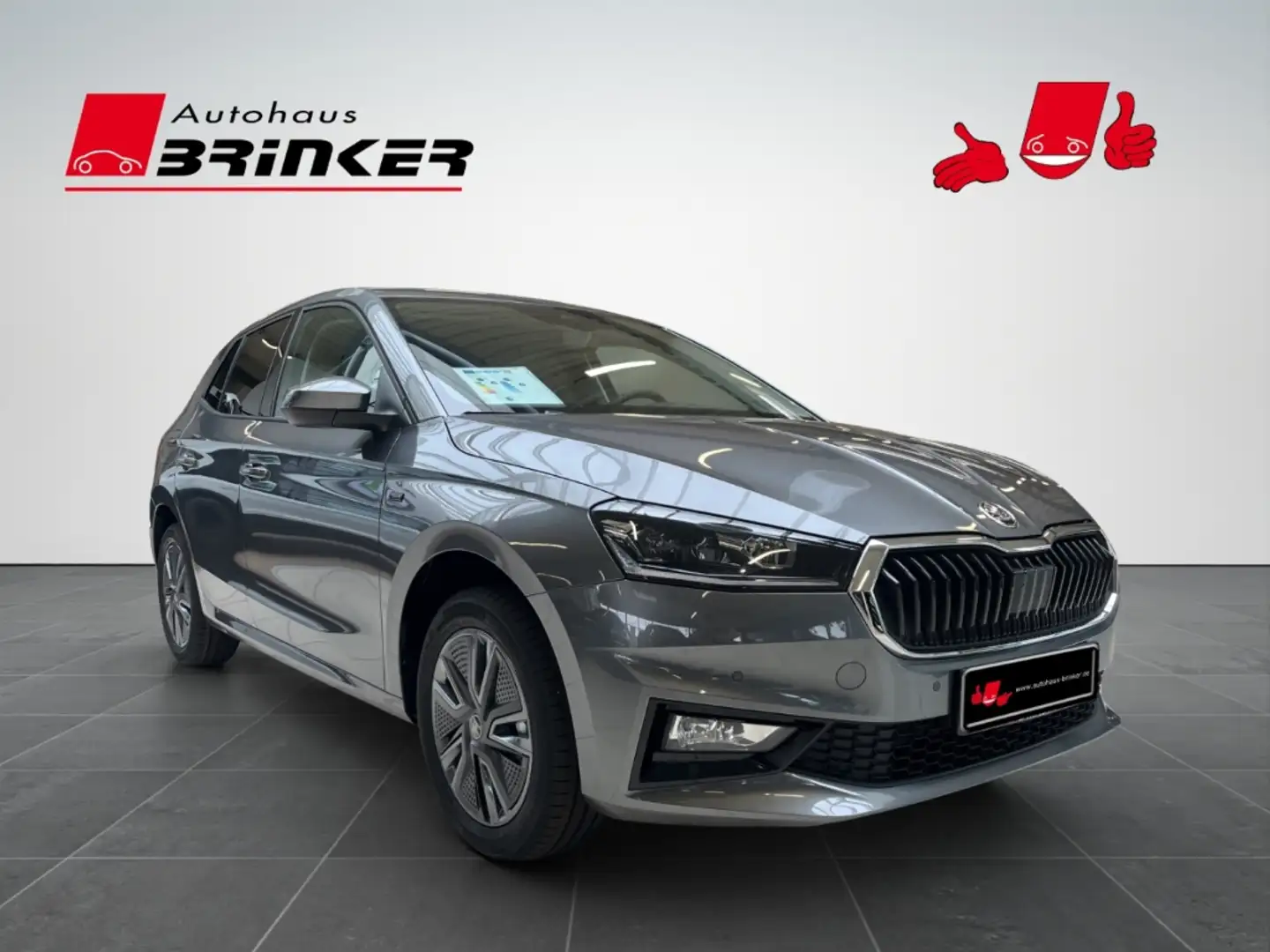 Skoda Fabia Tour 1.0 TSI  LED Sperrdiff. Apple CarPlay Android Grau - 1