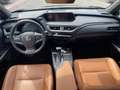 Lexus UX 250h UX Hybrid Premium IVBA ESPOSTA COMPRESA - thumbnail 12