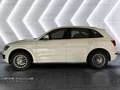 Audi Q5 2.0 TFSI quattro/Automatik/AHK/Neue Bremse Weiß - thumbnail 10