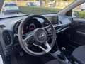 Kia Picanto Urban 1.0 Benzina 67cv MT5 Blanco - thumbnail 10