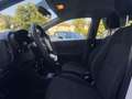 Kia Picanto Urban 1.0 Benzina 67cv MT5 Blanco - thumbnail 8