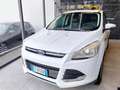 Ford Kuga 2.0 TDCI 140 CV 4WD Titanium (Garanzia 12Mesi) Bianco - thumbnail 2