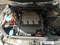 Volkswagen Polo 1.2TDI Advance Blanco - thumbnail 15