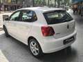 Volkswagen Polo 1.2TDI Advance Blanco - thumbnail 2