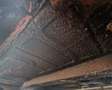 DAF Sonstige - thumbnail 19