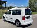 Volkswagen Caddy 1.6TDI BMT Trendline 102 Blanco - thumbnail 6