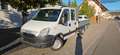Iveco Daily 35S15 DOKA - 1.Hand AHK 3500kg Weiß - thumbnail 3