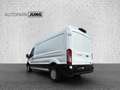Ford Transit Kasten 350 L3 Trend*Navi*Tempomat*RFK* Weiß - thumbnail 3
