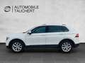 Volkswagen Tiguan Highline BMT/DSG Standheizung 1. Hd Mwst Weiß - thumbnail 4