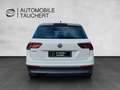 Volkswagen Tiguan Highline BMT/DSG Standheizung 1. Hd Mwst Weiß - thumbnail 6