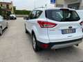 Ford Kuga 1.6 EcoBoost 150 CV S&S 2WD Tit GRANDINATA Bianco - thumbnail 3
