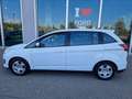 Ford C-Max 7 POSTI 1.6 TDCi 95CV Plus Bianco - thumbnail 7