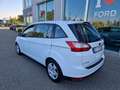 Ford C-Max 7 POSTI 1.6 TDCi 95CV Plus Bianco - thumbnail 6