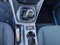 Ford C-Max 7 POSTI 1.6 TDCi 95CV Plus Bianco - thumbnail 14