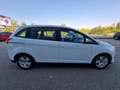 Ford C-Max 7 POSTI 1.6 TDCi 95CV Plus Bianco - thumbnail 4