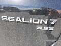 BYD Sealion 7 Excellence AWD Schwarz - thumbnail 20
