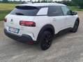 Citroen C4 C4 Cactus 2014 Cactus 1.6 bluehdi Shine 100cv Bianco - thumbnail 15