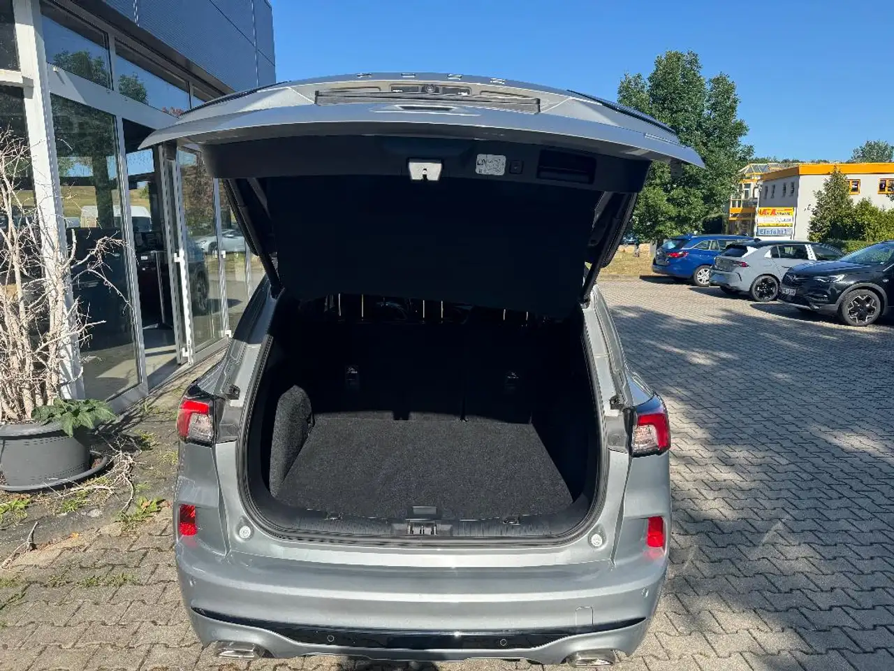 Ford Kuga ST-Line X Kuga (2020->) Hybrid ST-Line X, миниатюра 5