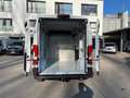 Fiat Ducato 35 L2H2 AHK Navi RüKa CarPlay Allwetter Blanco - thumbnail 14