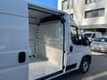 Fiat Ducato 35 L2H2 AHK Navi RüKa CarPlay Allwetter Blanco - thumbnail 16