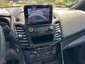Ford Tourneo Connect Titanium 1,0 Navi Kamera Panoram Rot - thumbnail 12