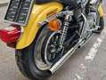 Harley-Davidson Sportster 883 XL/2 Gelb - thumbnail 8