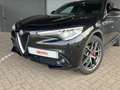 Alfa Romeo Stelvio 2.2d SUPER-XENON-LEDER-VOLL Zwart - thumbnail 3