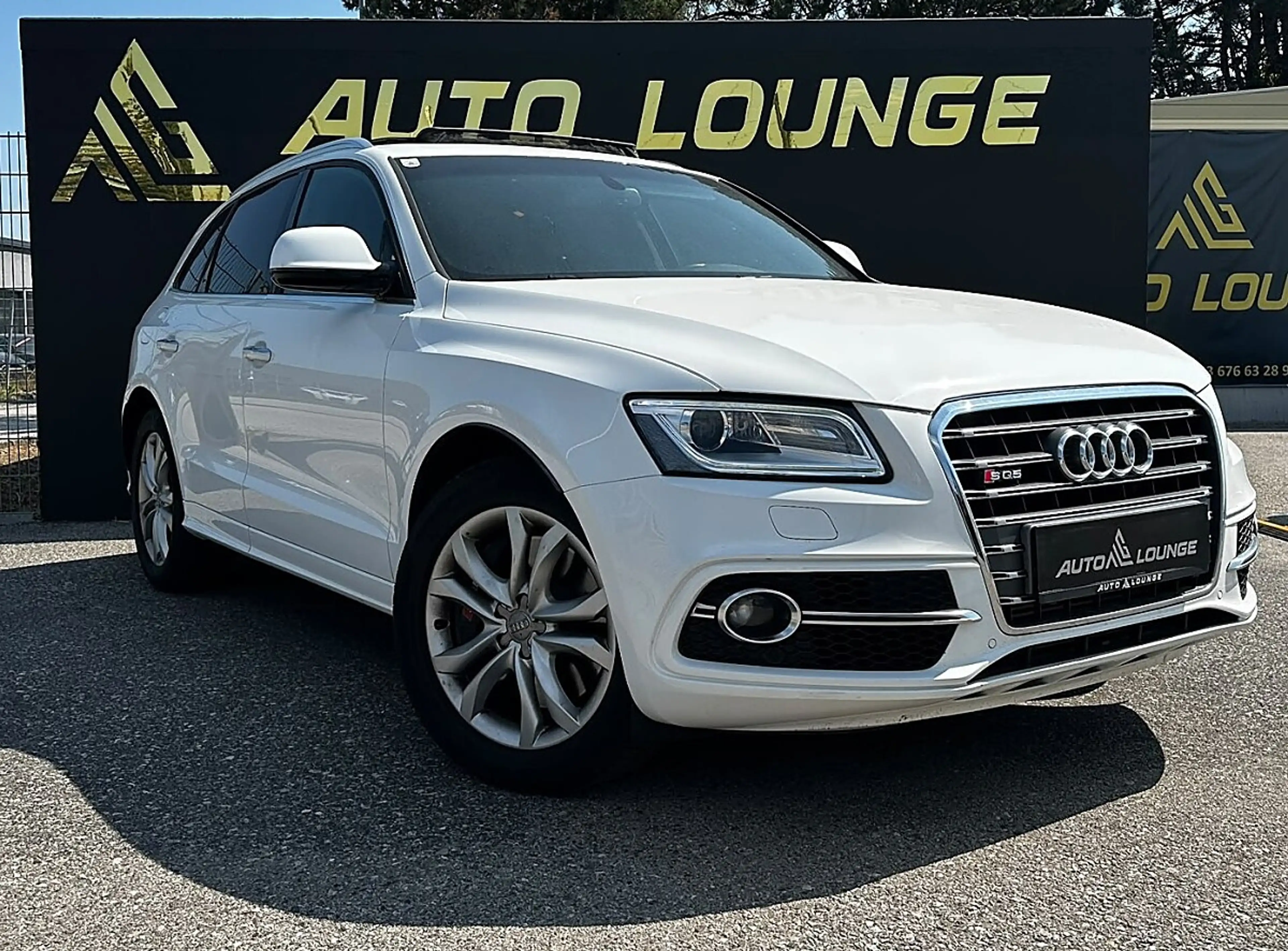 Audi SQ5 3,0 TDI quattro DPF Tiptronic — photo 6