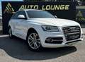 Audi SQ5 3,0 TDI quattro DPF Tiptronic Weiß - thumbnail 6