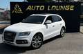 Audi SQ5 3,0 TDI quattro DPF Tiptronic Weiß - thumbnail 1