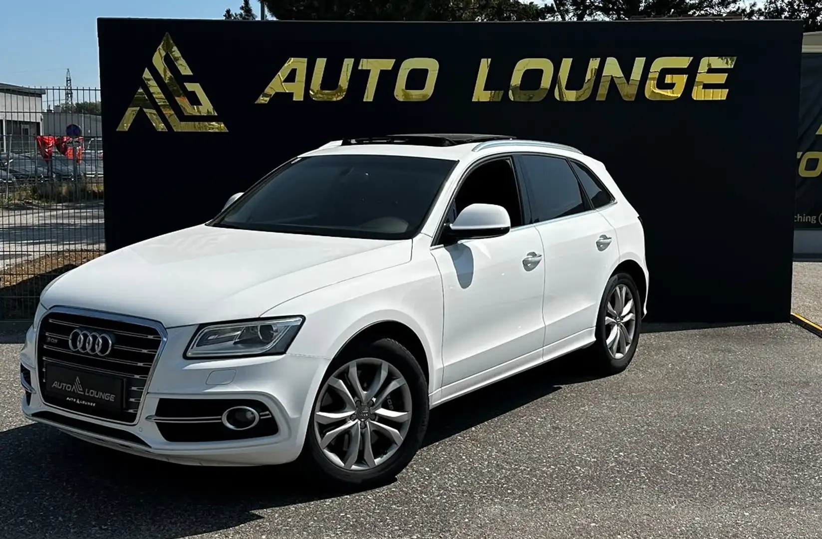 Audi SQ5 3,0 TDI quattro DPF Tiptronic Weiß - 1