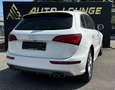 Audi SQ5 3,0 TDI quattro DPF Tiptronic Weiß - thumbnail 10