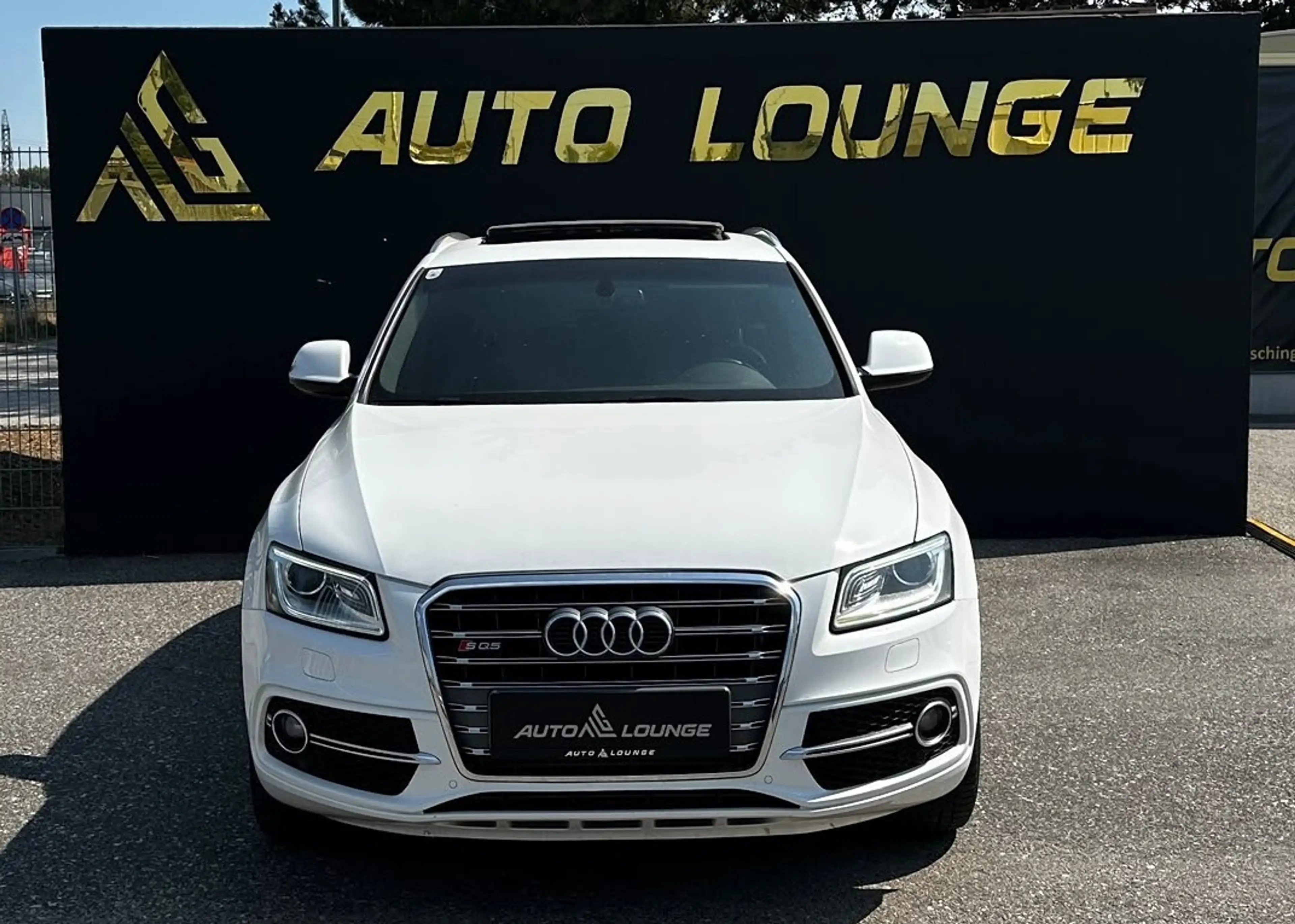 Audi SQ5 3,0 TDI quattro DPF Tiptronic — photo 3