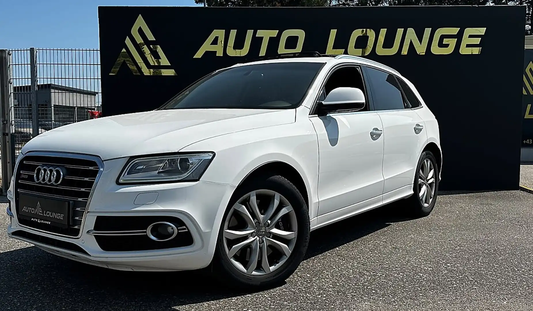 Audi SQ5 3,0 TDI quattro DPF Tiptronic Weiß - 2