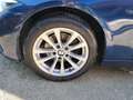 BMW 320 Serie 3 F31 2015 Touring 320d Touring xdrive auto Blu/Azzurro - thumbnail 25