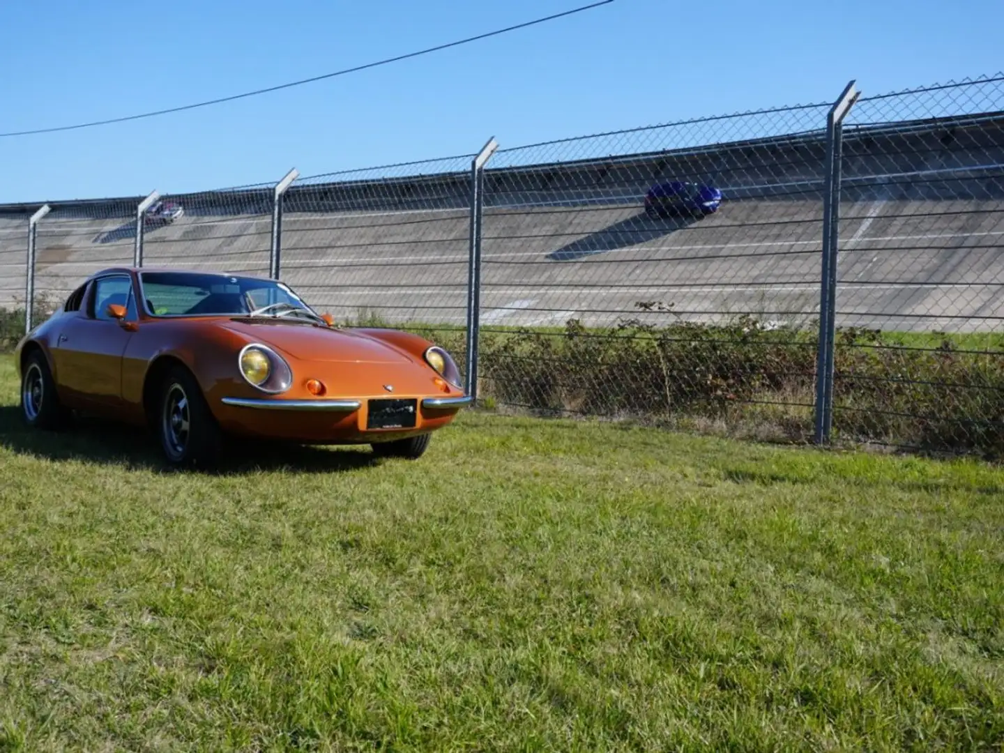 Oldtimer Puma Tubarão Gold - 2