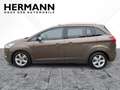 Ford Grand C-Max 1.0 EcoBoost Titanium *NAVI*SHZ*PDC Braun - thumbnail 3