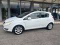 Opel Corsa 5p 1.3 cdti ecoflex Cosmo 75cv - UNICO PROPR. Blanc - thumbnail 6