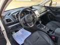 Subaru XV 1.6i Executive Plus CVT Blanco - thumbnail 33