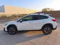 Subaru XV 1.6i Executive Plus CVT Blanco - thumbnail 17