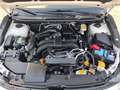 Subaru XV 1.6i Executive Plus CVT Blanco - thumbnail 14