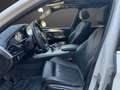BMW X5 xDrive25d 7posti Tetto Vetri oscurati Pelle Totale Bianco - thumbnail 9